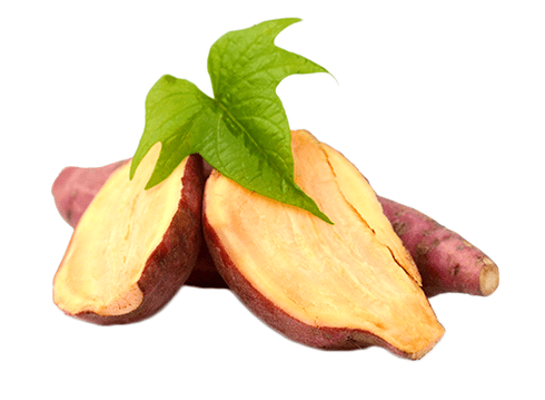 Yacon šaknis Reduslim