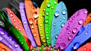 Kaip numesti svorio laikantis 6 žiedlapių dietos